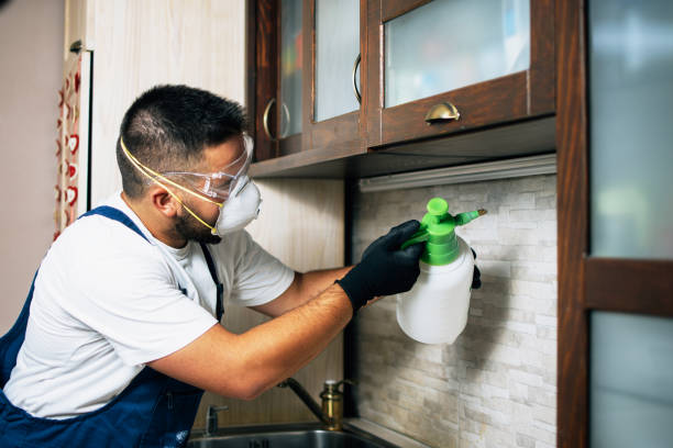 Best Mosquito Control Services  in Flushing, MI