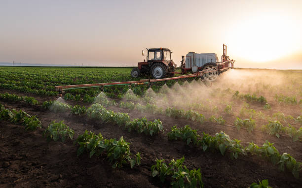 Professional Pest Control in Flushing, MI