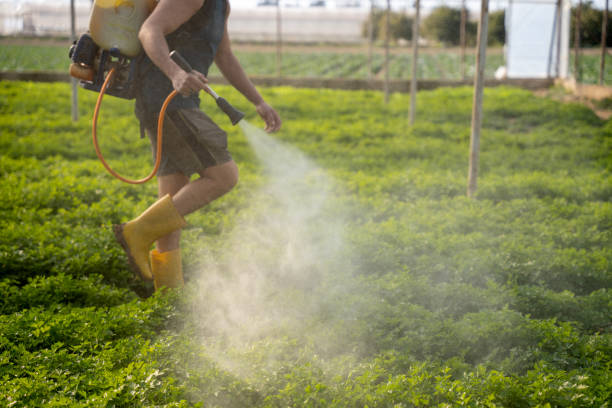 Best Pest Control for Businesses  in Flushing, MI