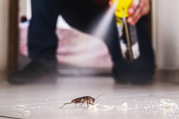 Best Affordable Exterminators  in Flushing, MI