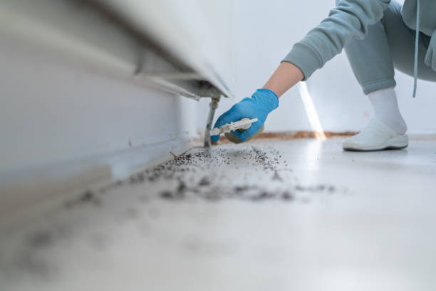 Best Rodent Control Near Me  in Flushing, MI