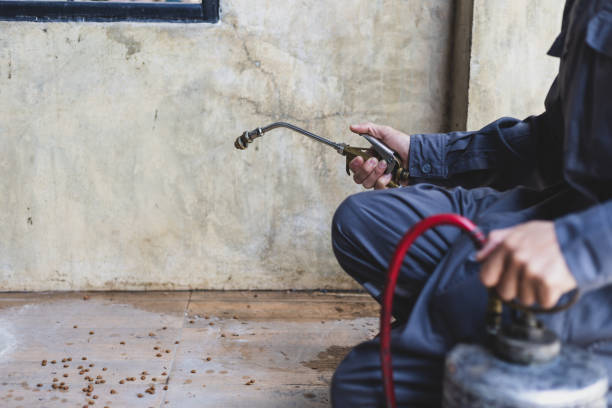 Best Termite Control Services  in Flushing, MI
